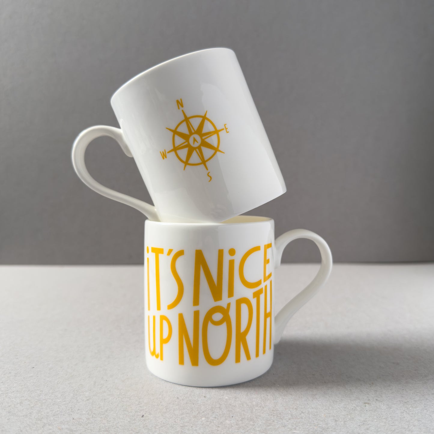It's Nice Up North Mug