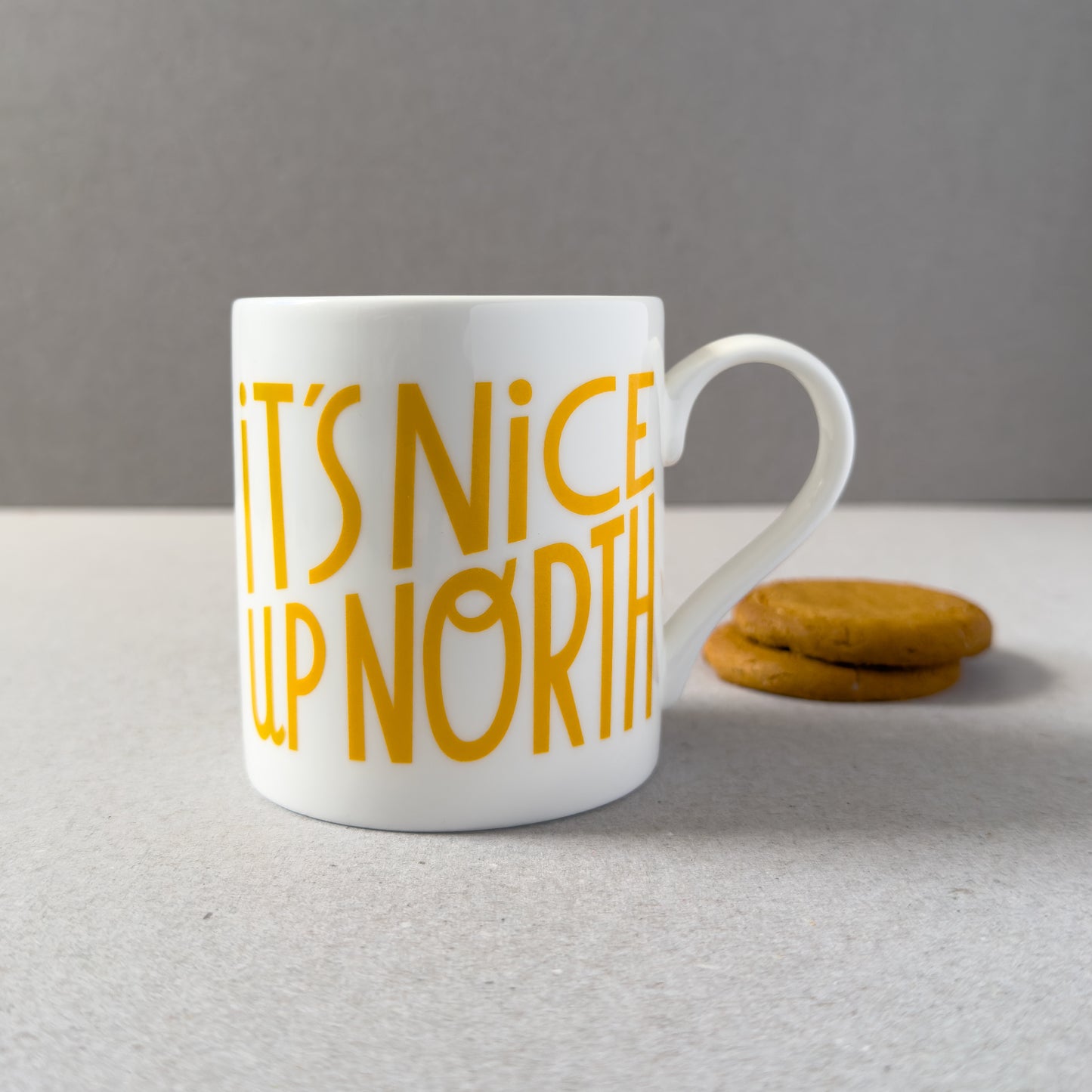 It's Nice Up North Mug