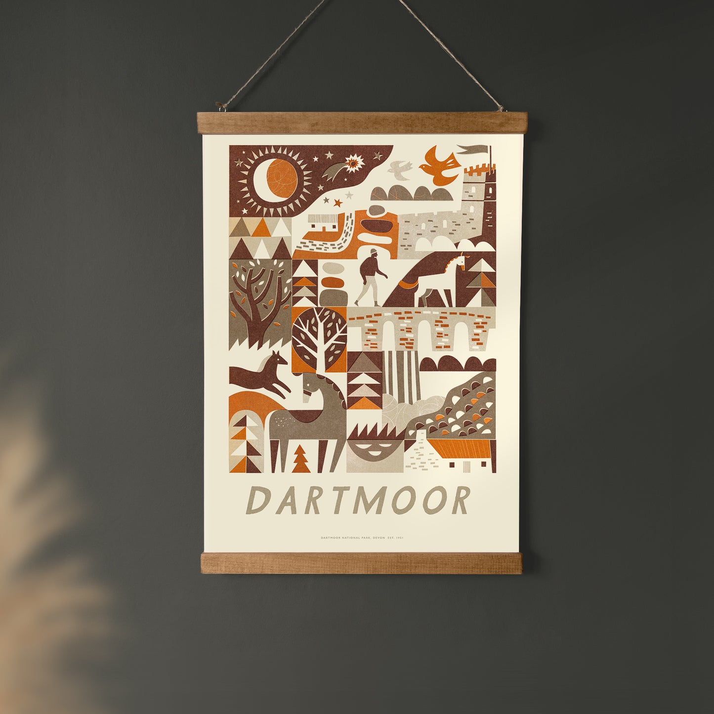 Dartmoor National Park Art Print